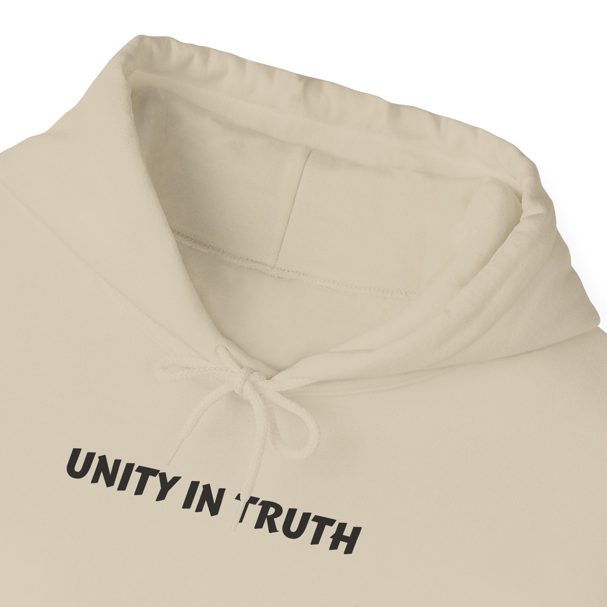 UNITY IN TRUTH: Hoodie —Moral Compass Required