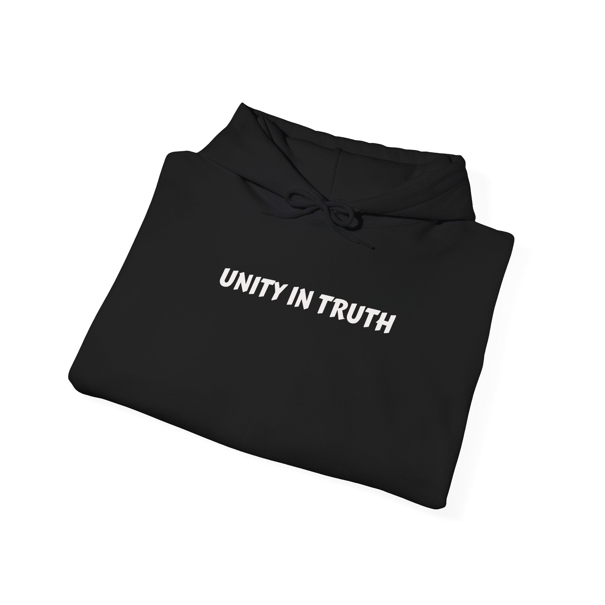 Unity In Truth Hoodie — Sleeve: Moral Compass Required