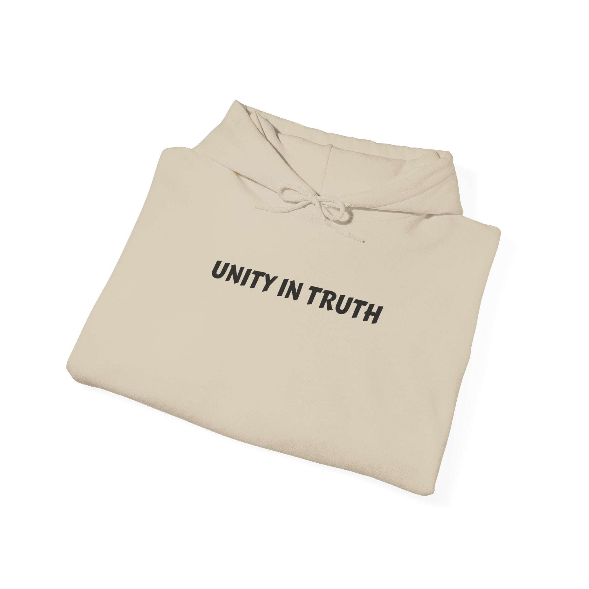 Unity In Truth Hoodie — Sleeve: Moral Compass Required